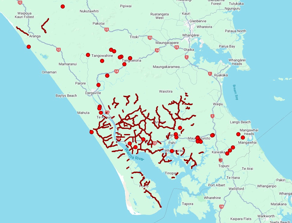A map of the Kaipara district highlighting the unsealed roads that will be worked on in June