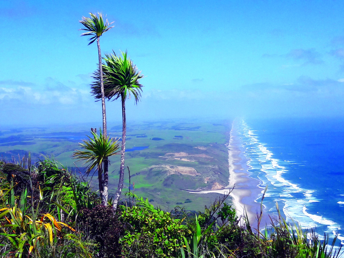 WAIPU & WAIPU COVE LOCALS COMMUNITY & BUSINESSES Public Group