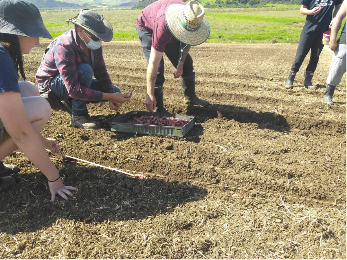 Seeds sown for Kaipara Water demonstration sites 