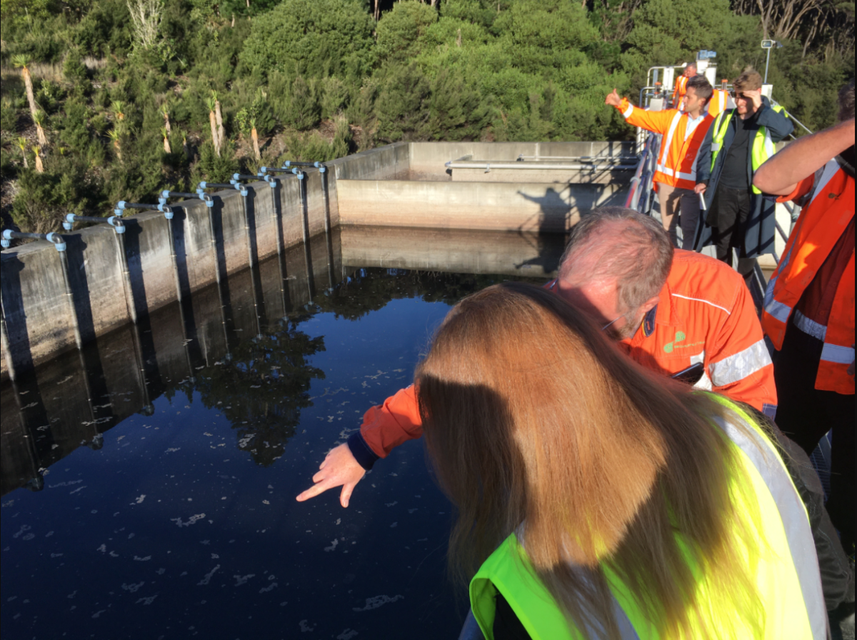 Balancing demand for Mangawhai wastewater