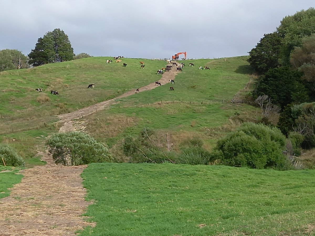Two thirds of Maungaturoto raw watermain renewal work completed