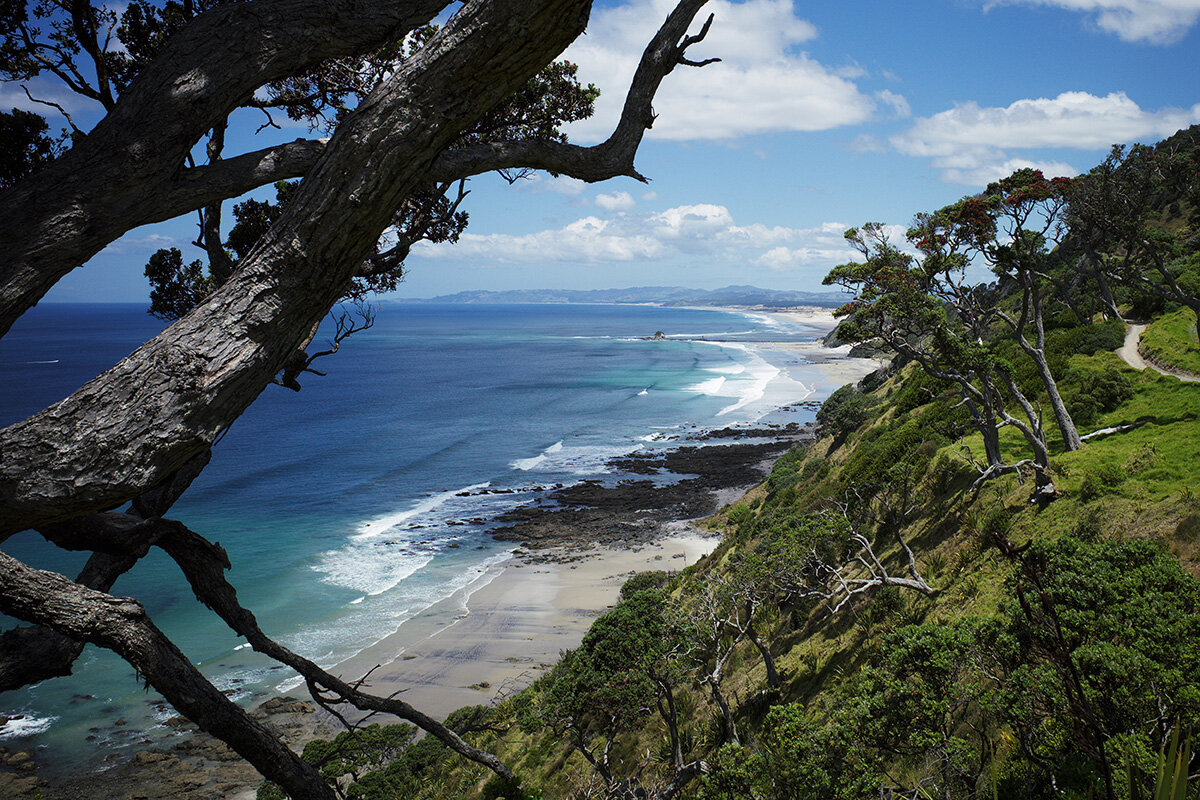 Looking after Kaipara this summer