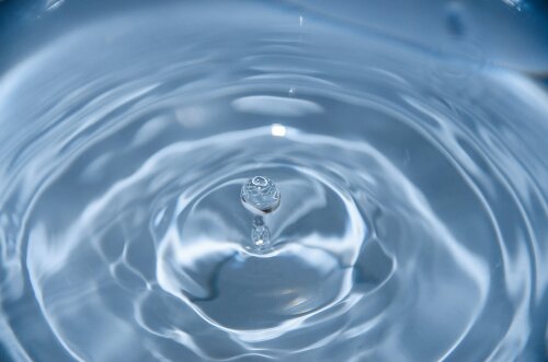Establishment of new Northland water organisation underway