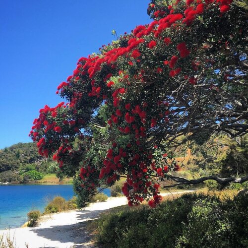 Council services during the holiday break