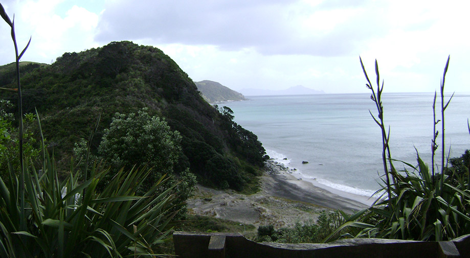 Kaipara hero image