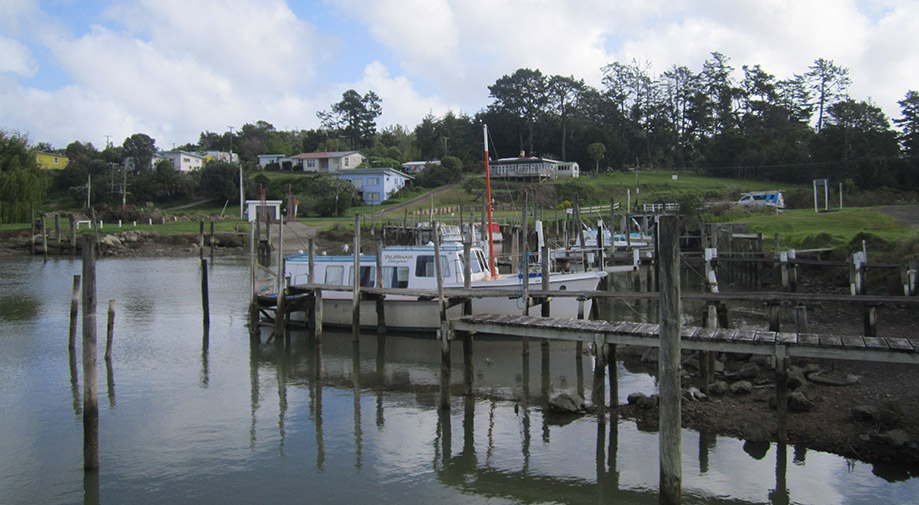 Kaipara Feature box image