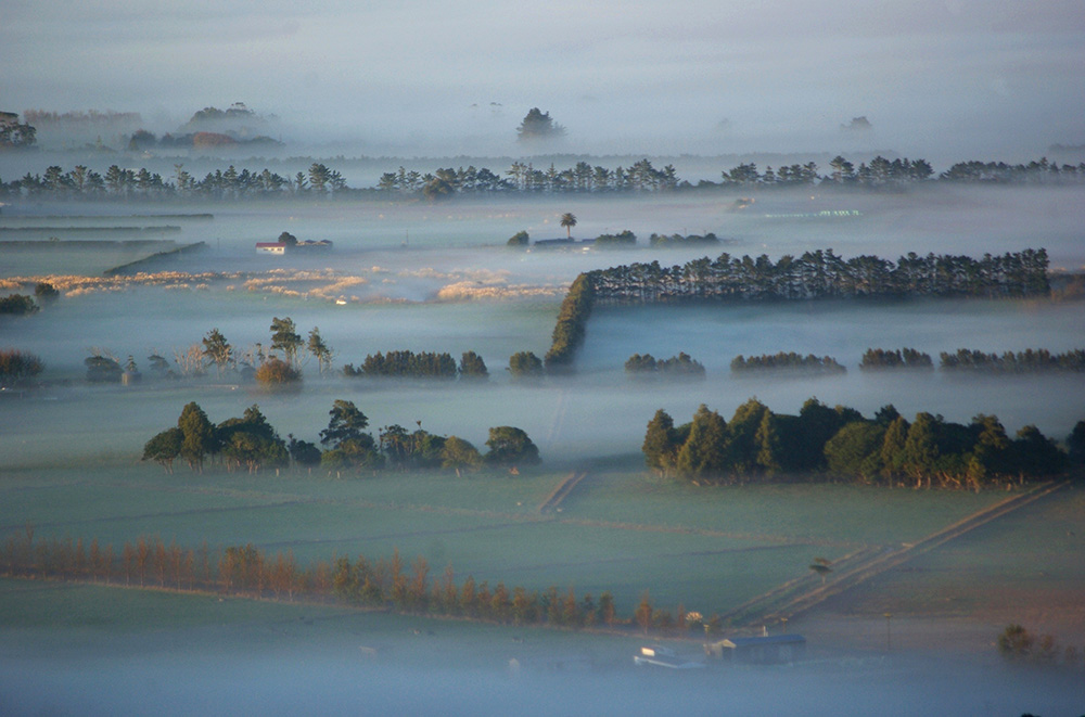 Kaipara Feature box image